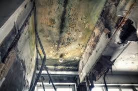 Best Residential Mold Inspection & Testing  in Bethesda, OH